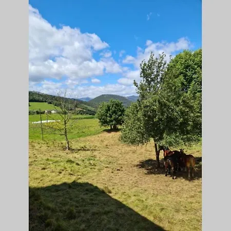 801a Casa De 4 En Plena Naturaleza * Munas de Arriba
